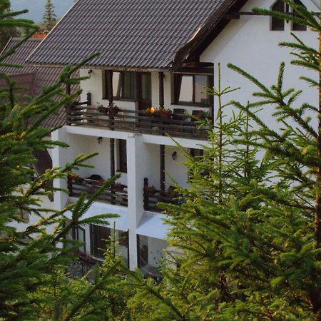 Cetina Hotel Ranca Bagian luar foto