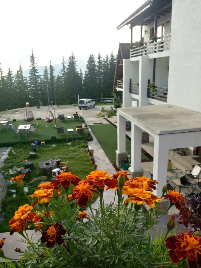 Cetina Hotel Ranca Bagian luar foto