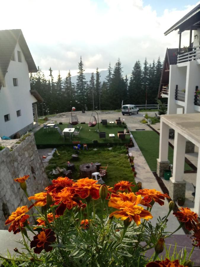 Cetina Hotel Ranca Bagian luar foto